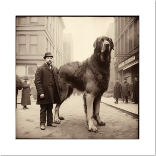 Big Dog from 1900 Posters and Art